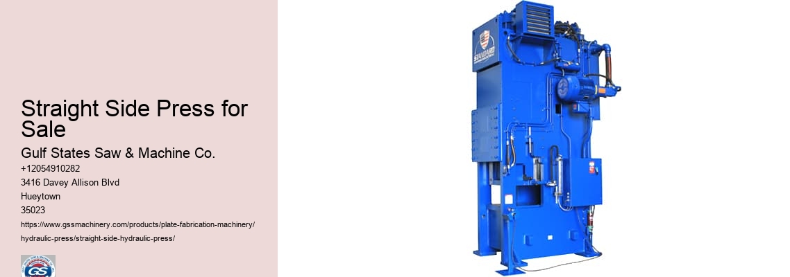 Straight Side Press for Sale
